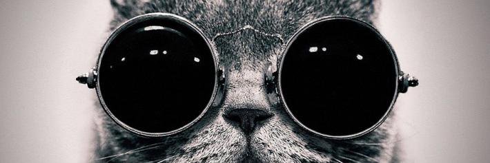 Edcledija_LA's profile banner image