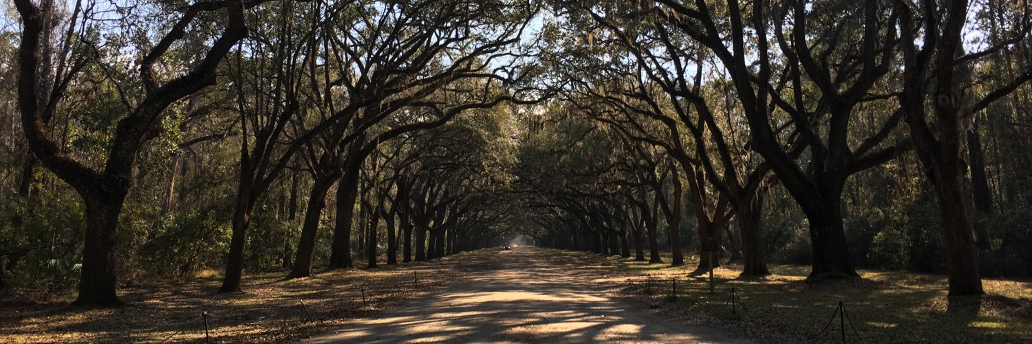 original_grove's profile banner image