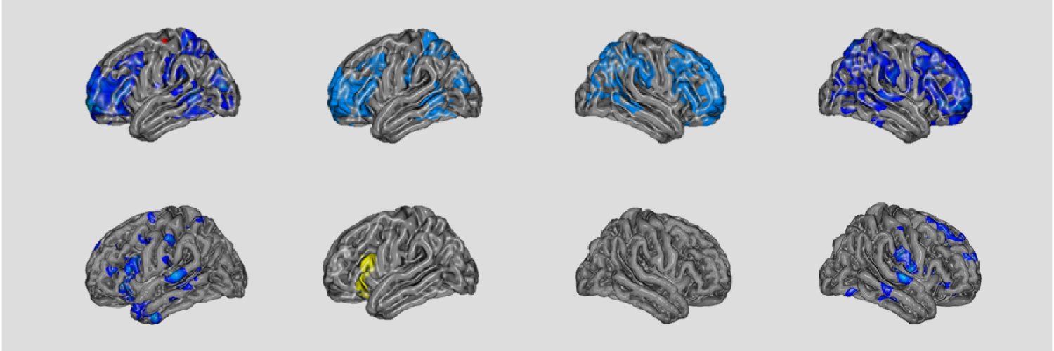 𝕊𝕥𝕦𝕒𝕣𝕥 𝔻. 𝕎. 𝕊𝕞𝕚𝕥𝕙 🇺🇦 banner