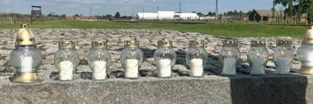 Ferencz Institute banner