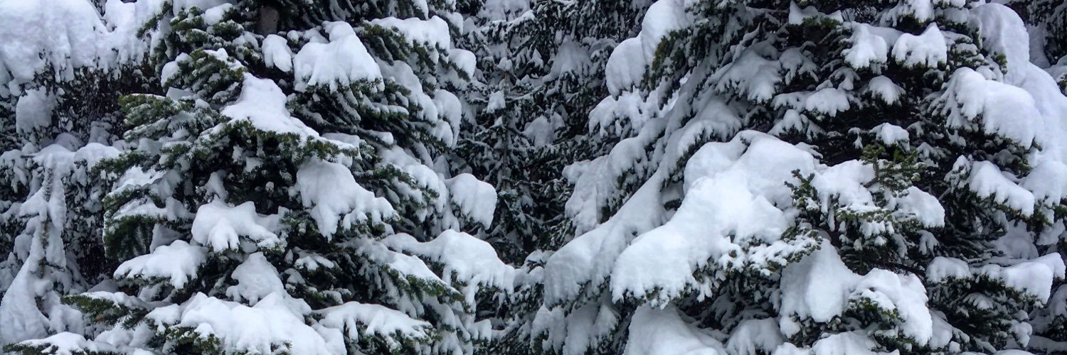 boardarchive's profile banner image