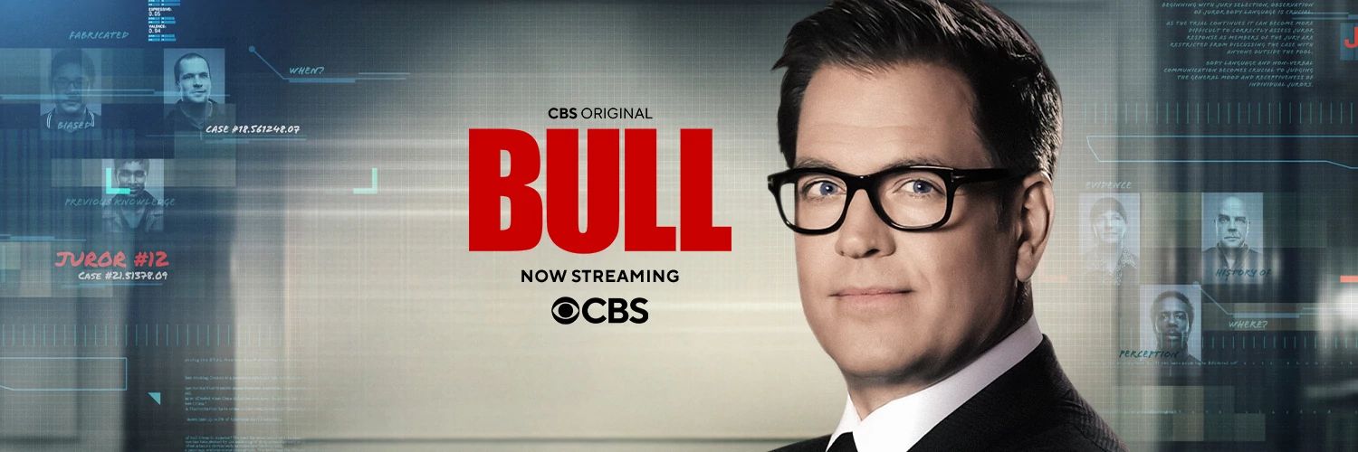 Bull banner