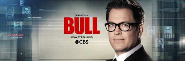Bull Profile Banner