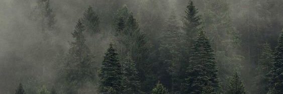 mpsx_'s profile banner image