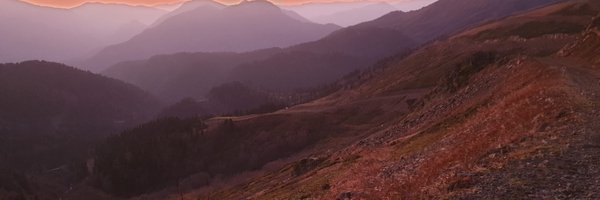 ry_paddy Profile Banner