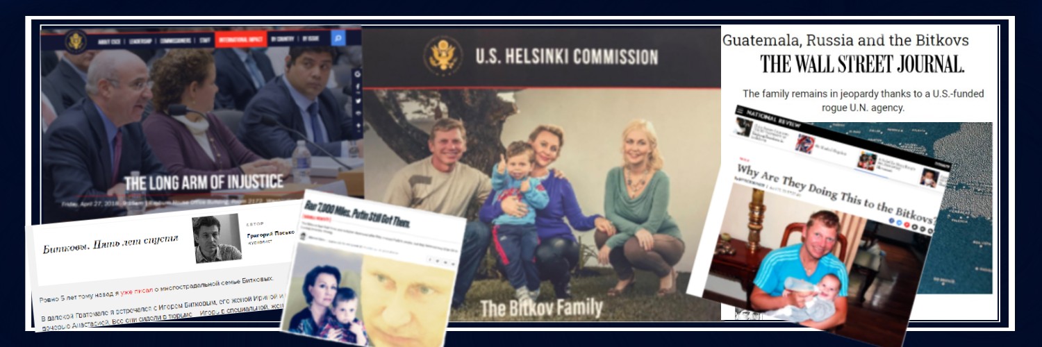 Irina Bitkova banner