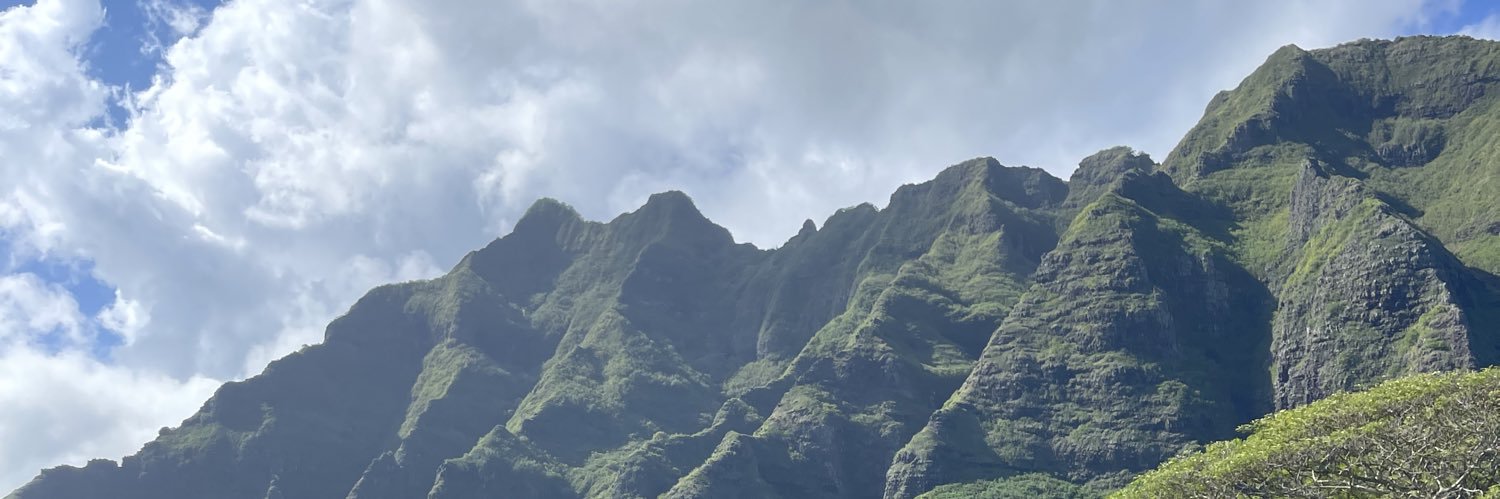 SAIGE KA'AHA'AINA-TORRES banner