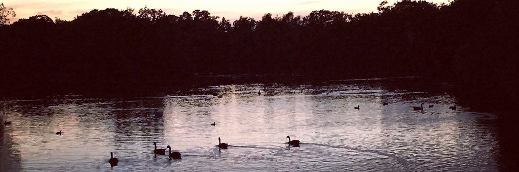 Adiba Bassam Demir banner