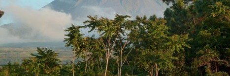 hackerdel4's profile banner image