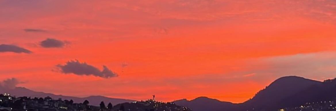 domestrella4's profile banner image