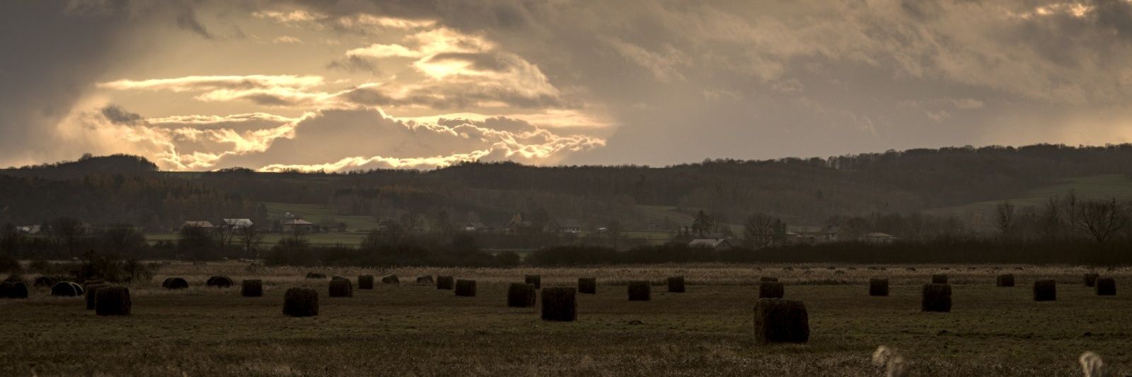 pbobolowicz's profile banner image