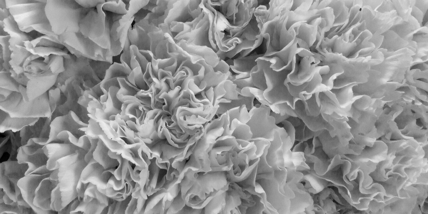 Tall_Laura's profile banner image