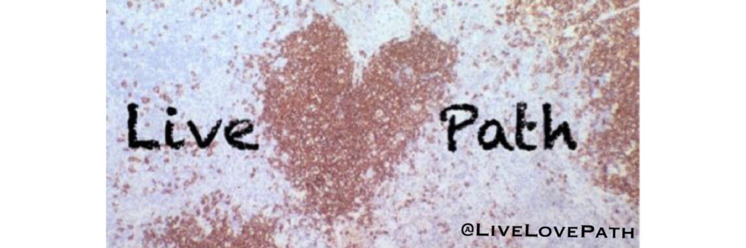 LiveLovePath's profile banner image