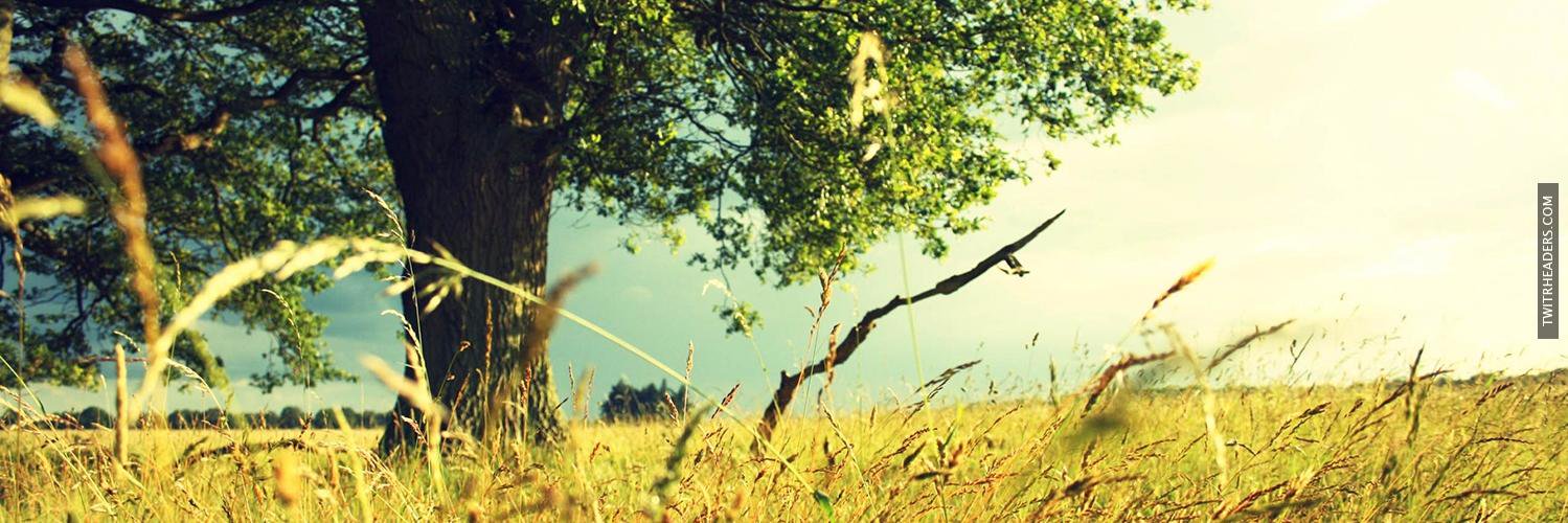ankitkale14's profile banner image
