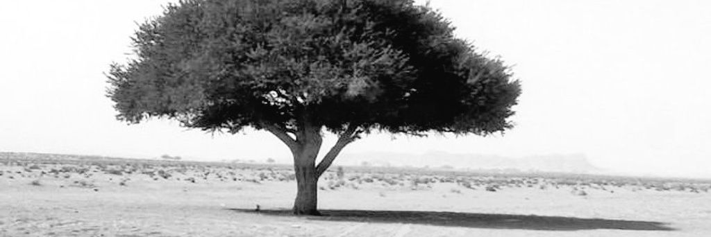 محمد السكران banner