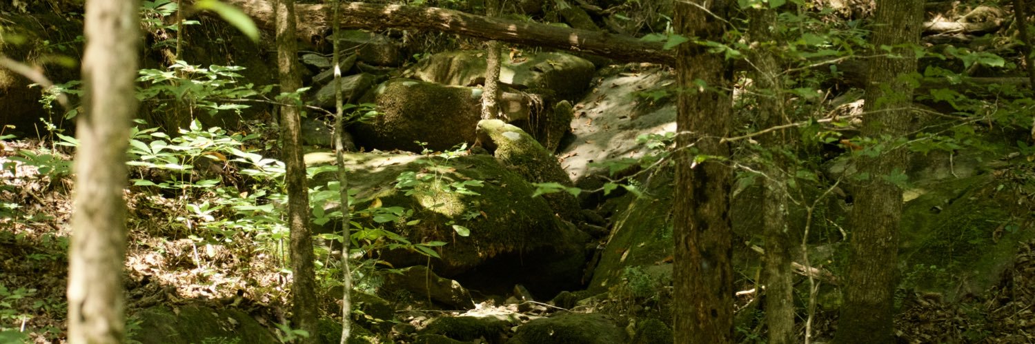 Userzig's profile banner image
