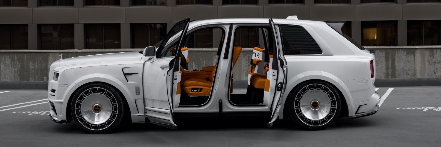 Platinum Group banner