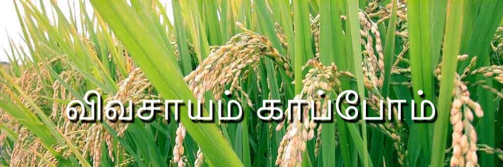 pmtalex's profile banner image