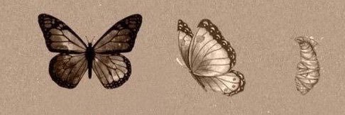 bsragltas's profile banner image