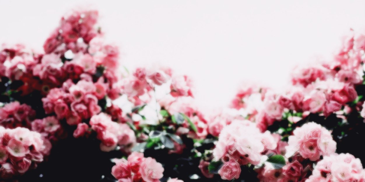 PerrieTHS's profile banner image