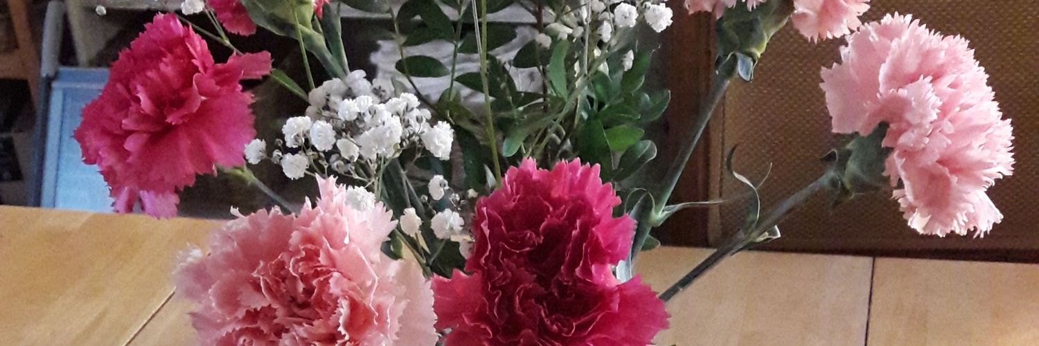 FrancesFoxroy's profile banner image