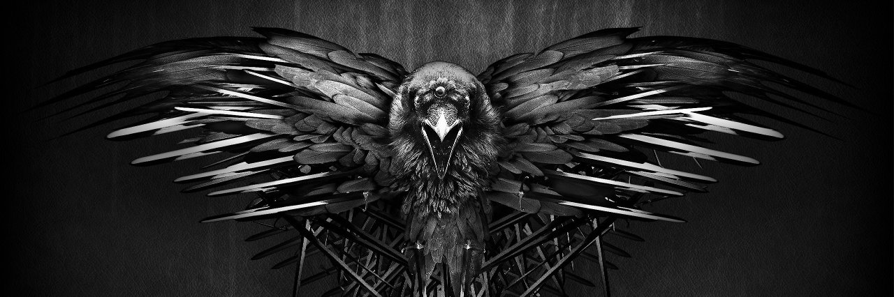 RavenRok33's profile banner image