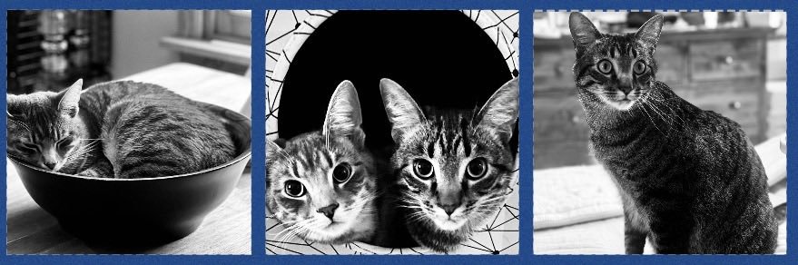 SewManyProjects's profile banner image