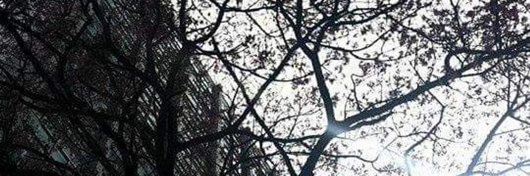 Mila__Castro's profile banner image