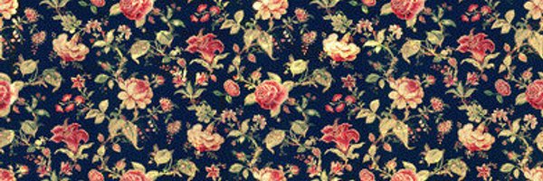 dinadiena Profile Banner