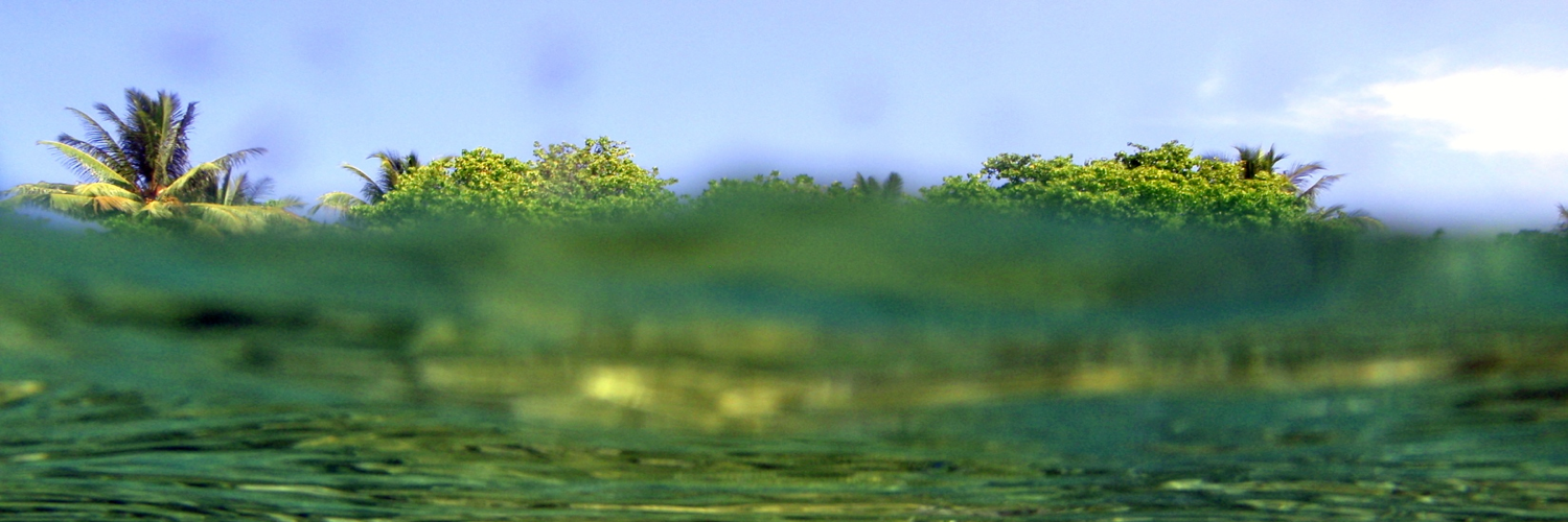tvasen's profile banner image