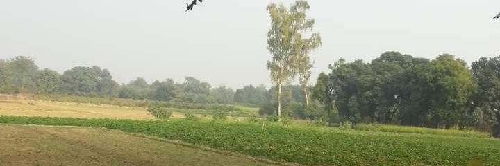 सुनील कांत सिकंदरपुर ( निशीथ) banner