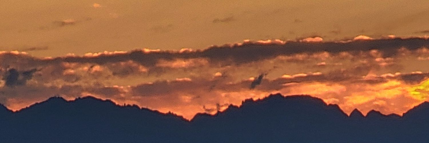 forrestsallee's profile banner image