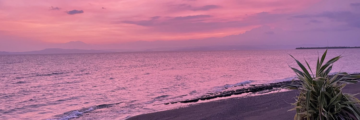 romsified's profile banner image