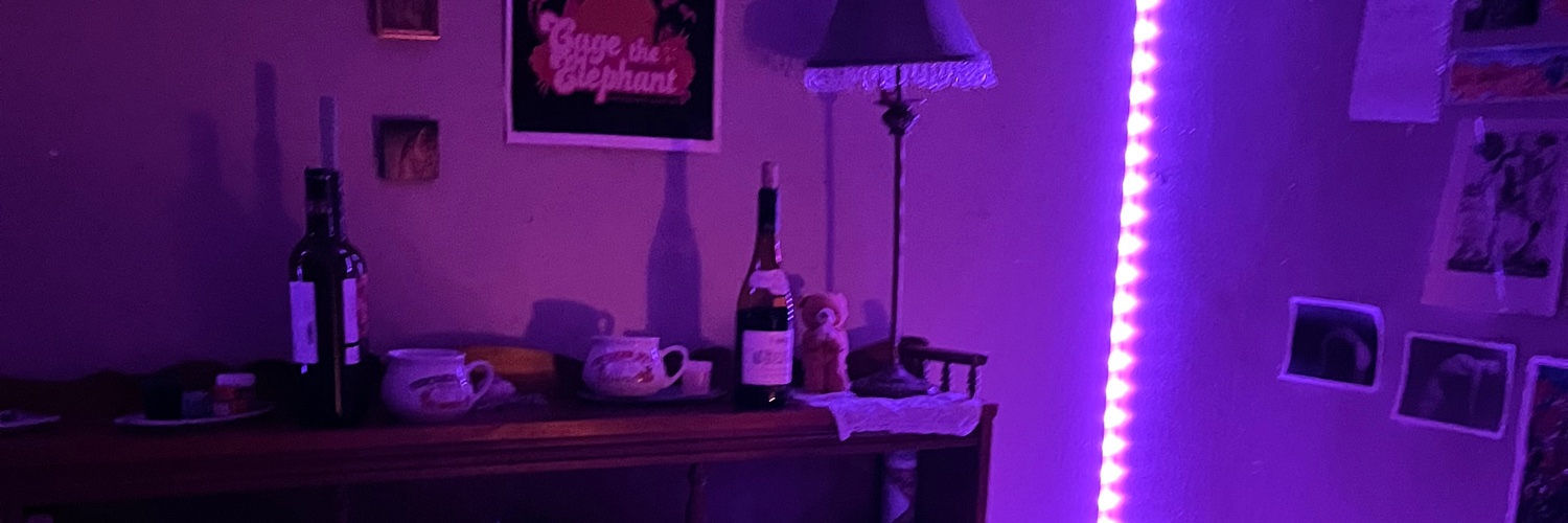 violewindd's profile banner image