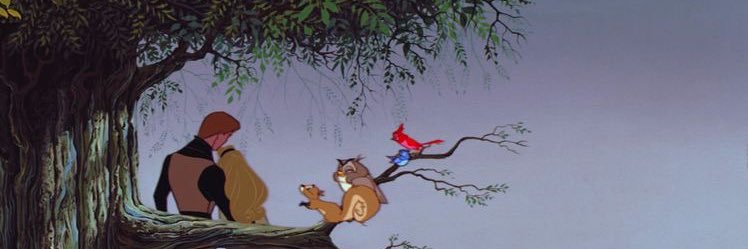 azoza_am's profile banner image