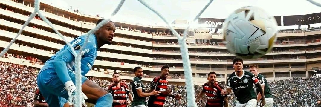 roberto banner