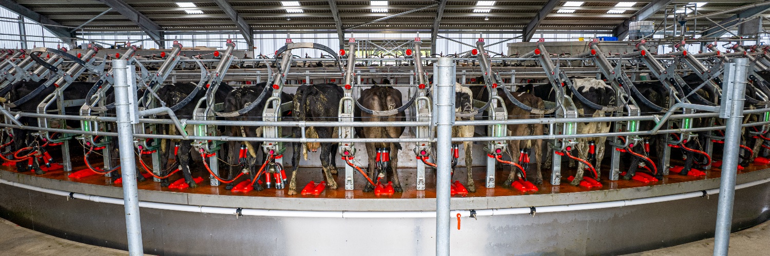 Pearson Milking Technology banner