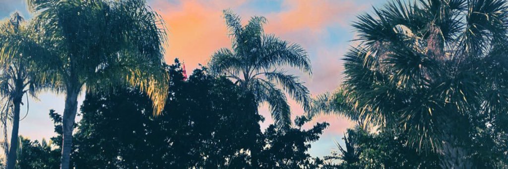 Radovanoviccccc's profile banner image