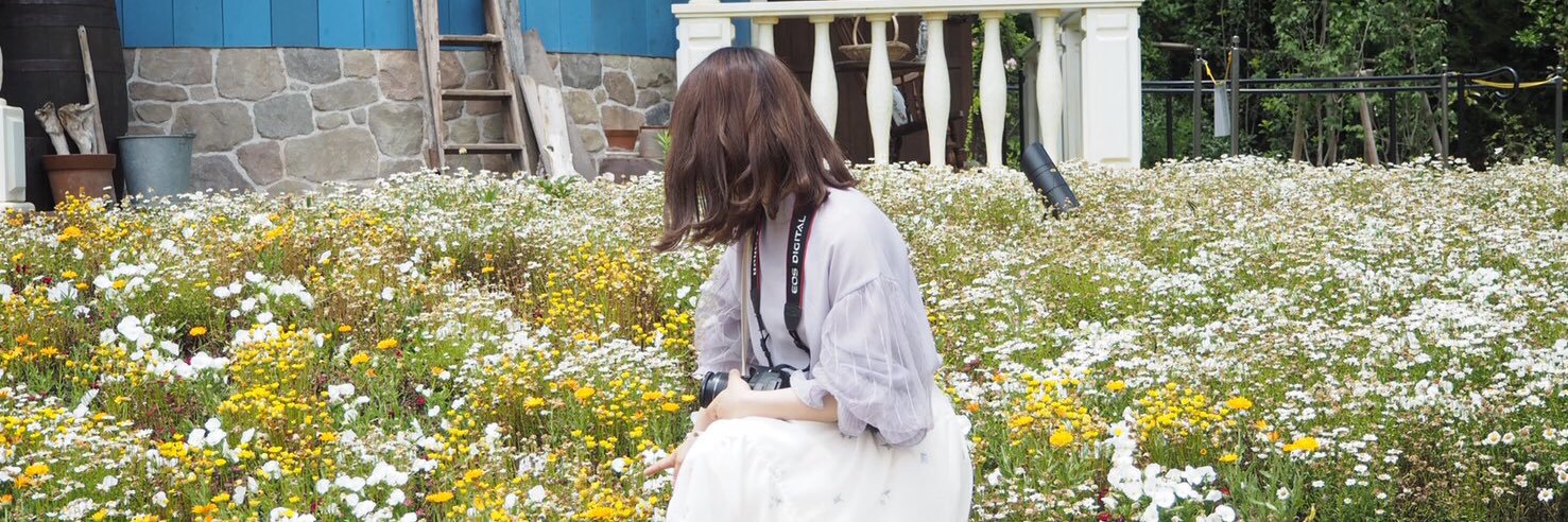 _kake_y's profile banner image