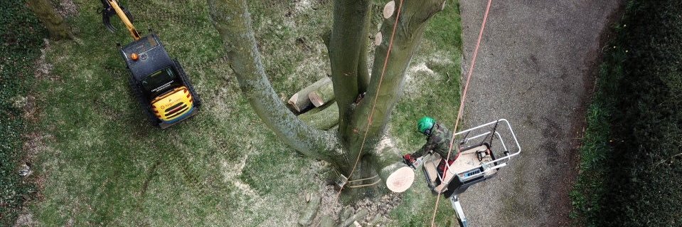 Tree_Surgeons's profile banner image