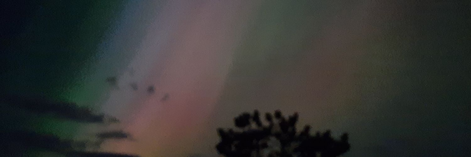 Pippin_dog's profile banner image