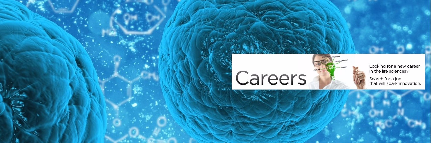 CareersTS's profile banner image