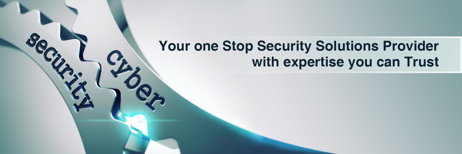 RAS Infotech Limited banner