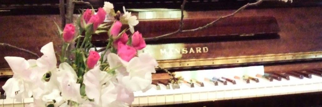 アポロ小太郎's banner