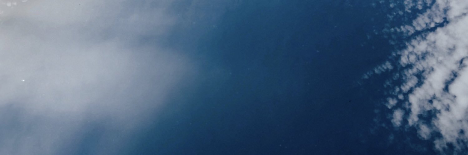 denisechust13's profile banner image