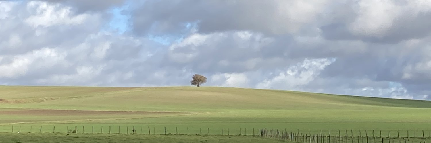 Patrick Boitet banner