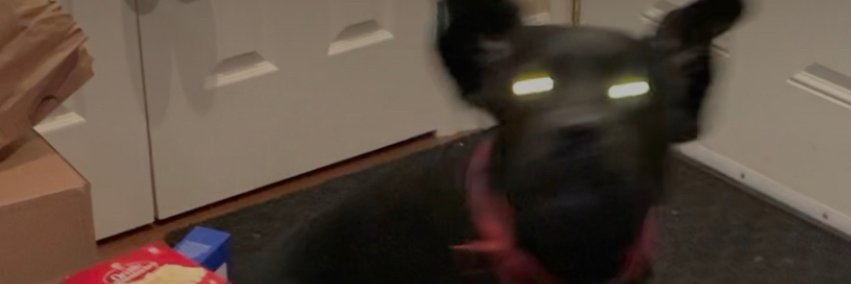 IraGoBrr banner