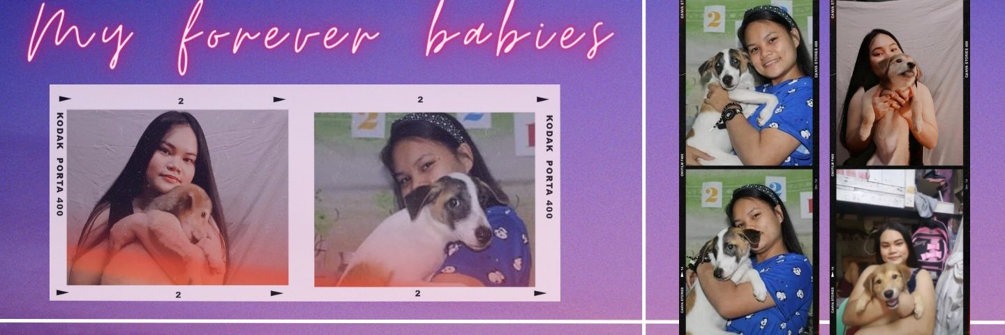 swiefties's profile banner image