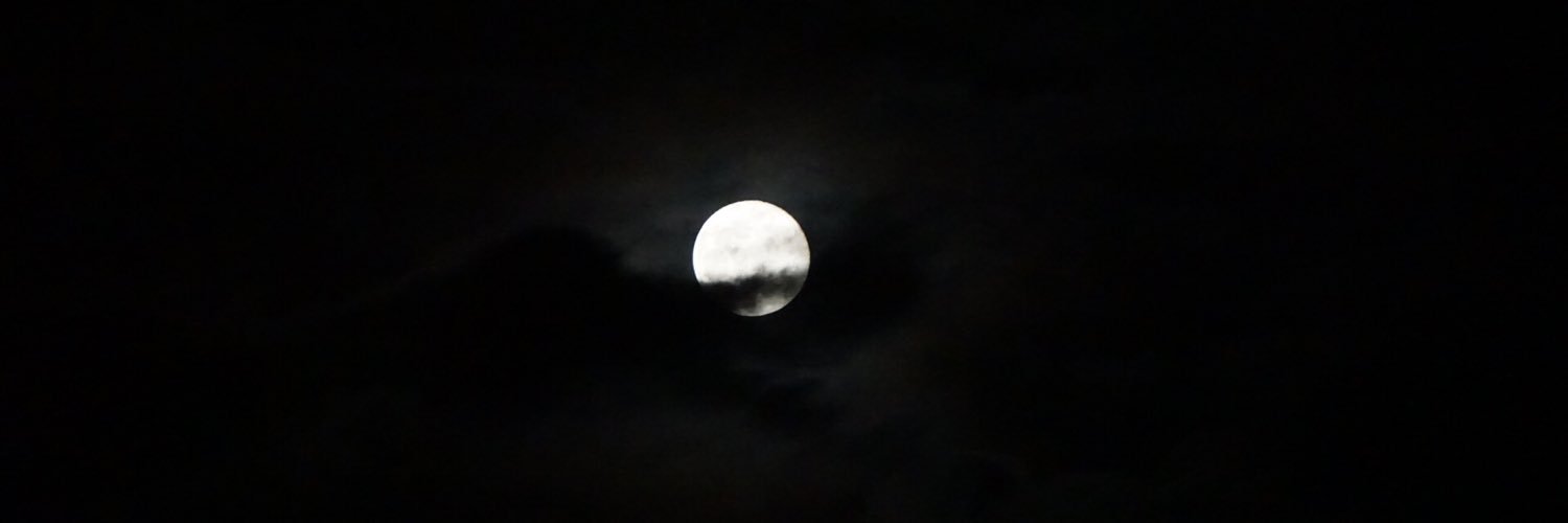 JakeLYJ's profile banner image