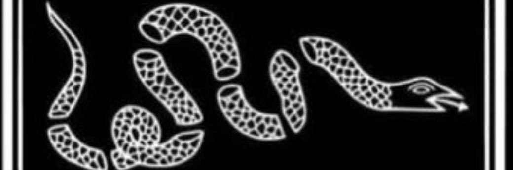 Ant0nious banner